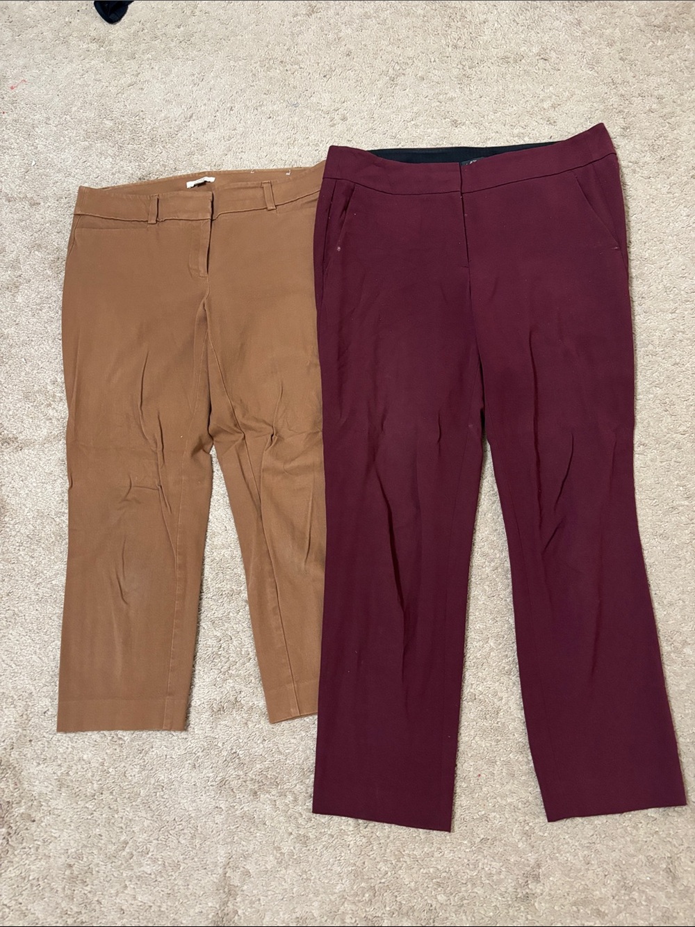 LOFT Women's Trousers in Burgundy and Camel